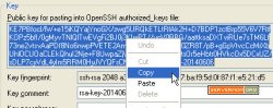 Passwordless SSH Login - Tutorial Linux and Windows (Putty)